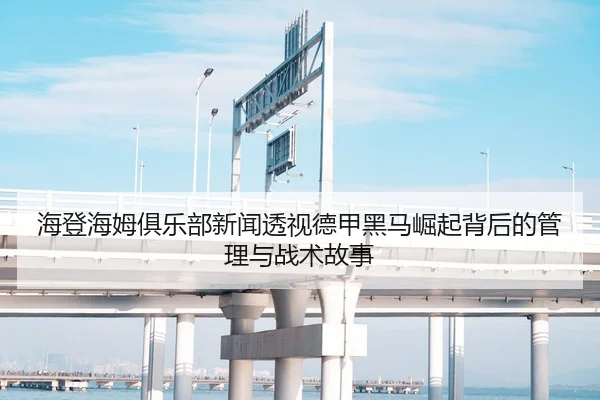 hai-deng-hai-mu-ju-le-bu-xin-wen-tou-shi-de-jia-hei-ma-jue-qi-bei-hou-de-guan-li-yu-zhan-shu-gu-shi-2-198.jpg