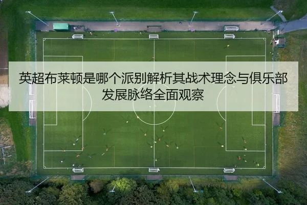 英超布莱顿是哪个派别解析其战术理念与俱乐部发展脉络全面观察