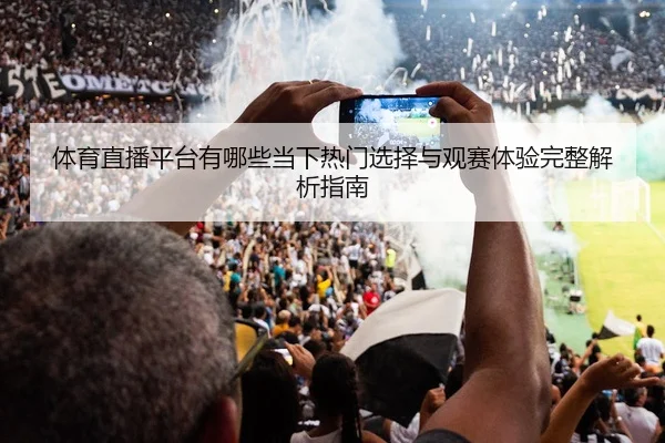 体育直播平台有哪些当下热门选择与观赛体验完整解析指南